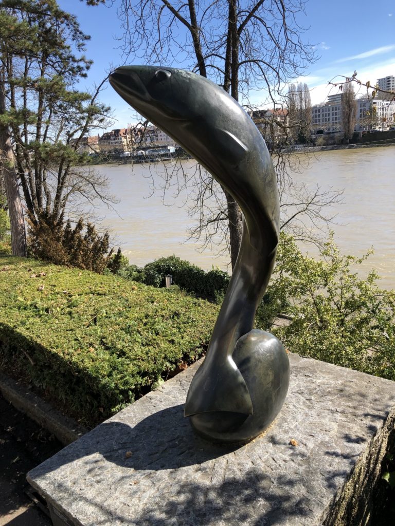 fisch e1552750081423