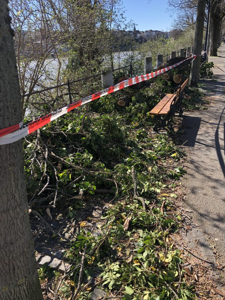 sturm1 e1552750438931