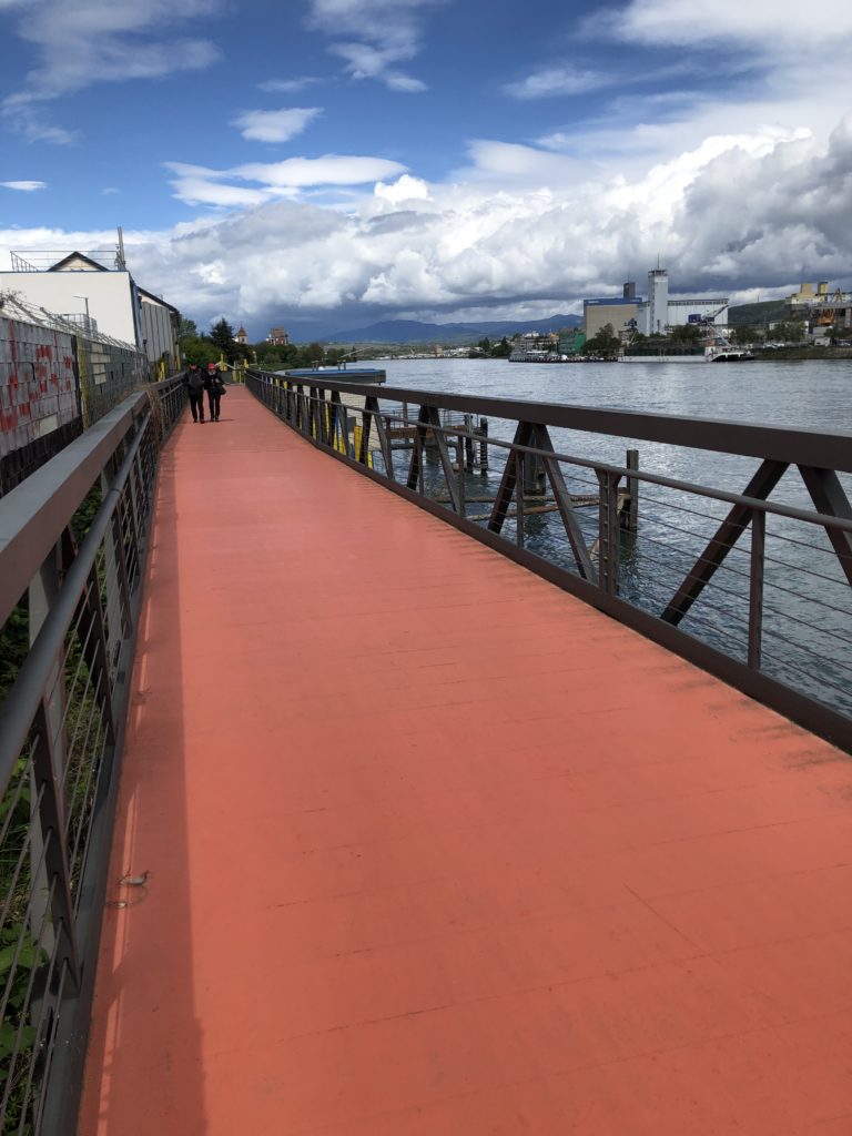 spaz7 e1556641868497