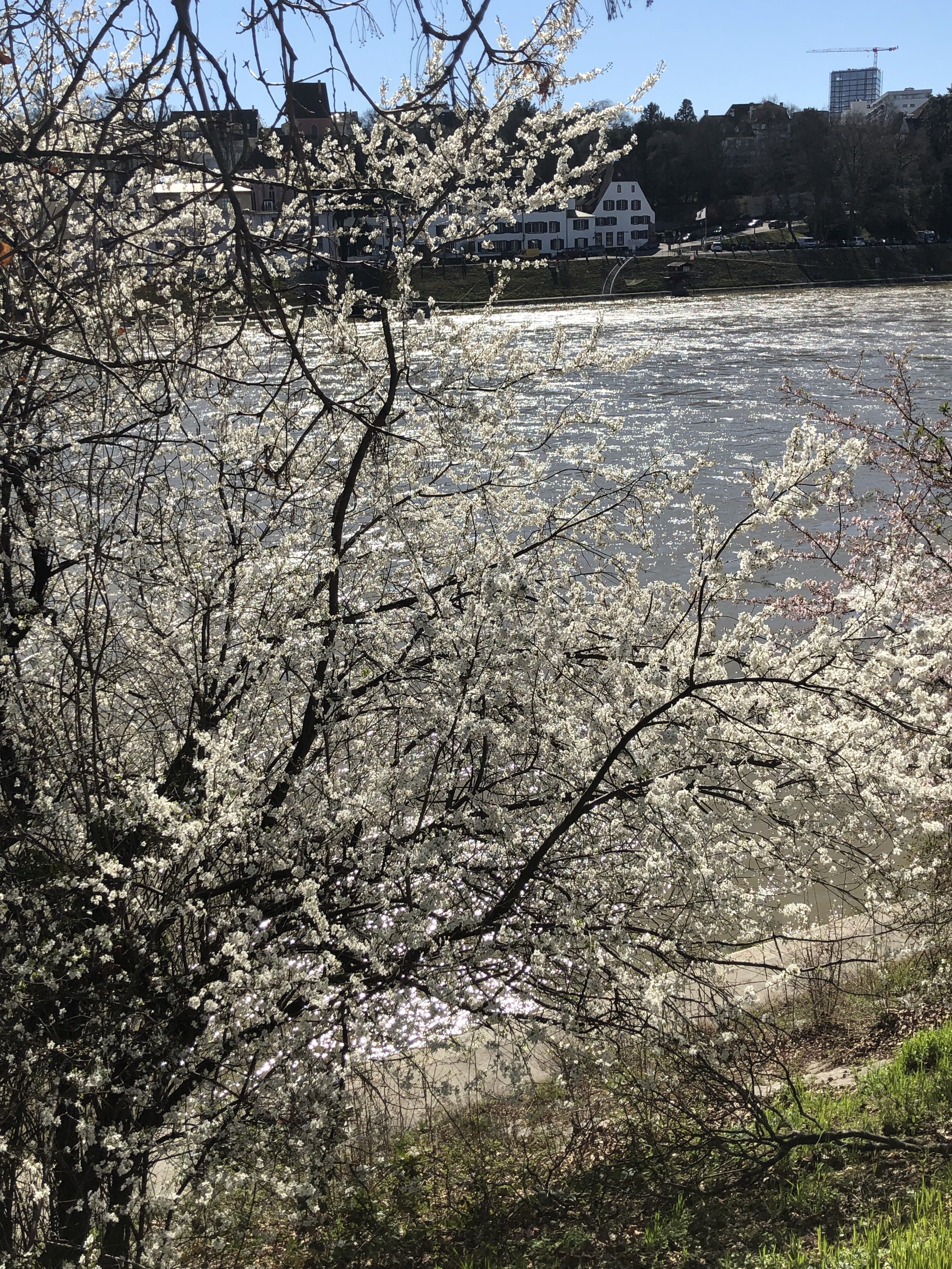 frühling1 e1552748661278